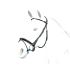 Equipe - Rolled Flash Bridle with Patent (BR40)