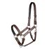 Equilibrium - Stellar Safety Headcollar