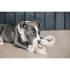 Kentucky - Dog Toy Cotton 8-Loop - 52407