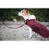 Kentucky - Dog Coat - 52104