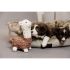 Kentucky - Dog Soft Toy Alfredo the Alpaca - 52404