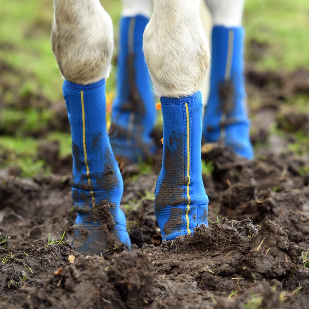 Equilibrium - Equi-Chaps Close Contact Chaps