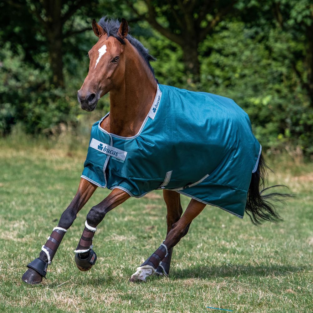 Bucas - Atlantic Turnout Rug 200g - 441