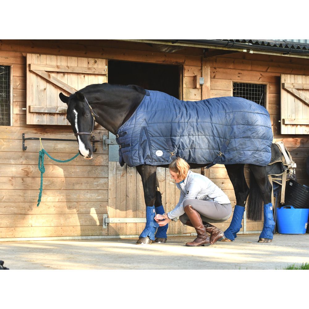 Equilibrium - Equi-Chaps Stable Chaps