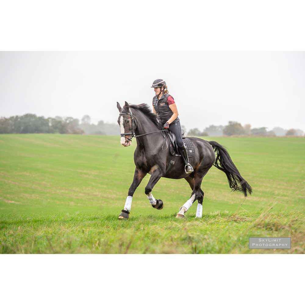 Charles Owen Halo Gloss Riding Helmet - Adult sizes