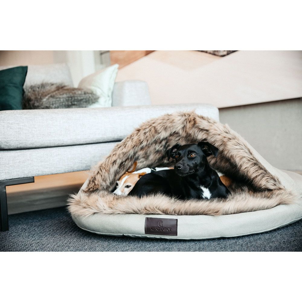 Kentucky - Dog Bed Igloo - 52415