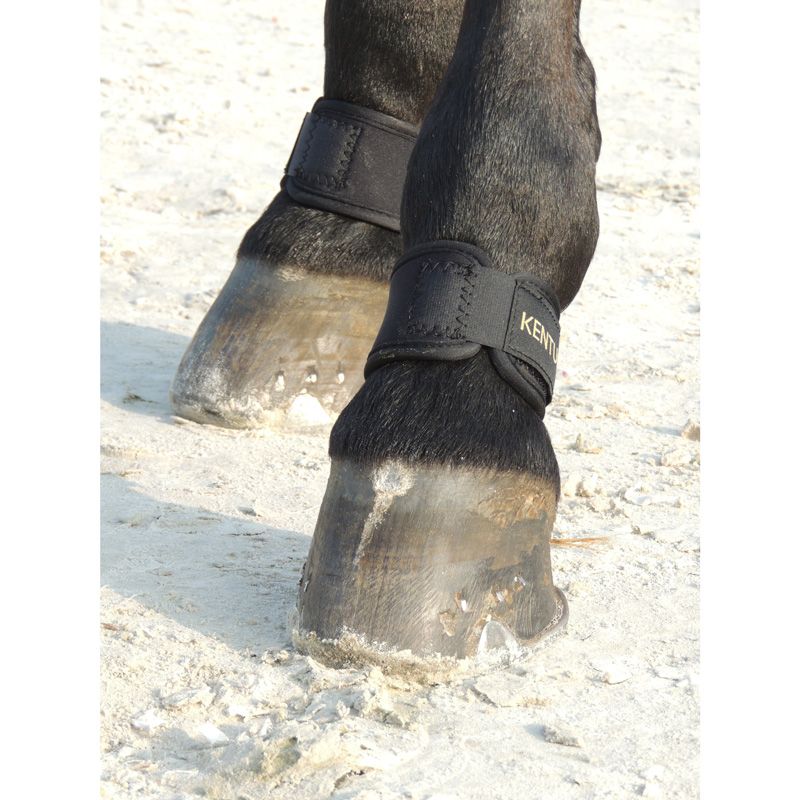 Kentucky - Pastern Wrap - 42201