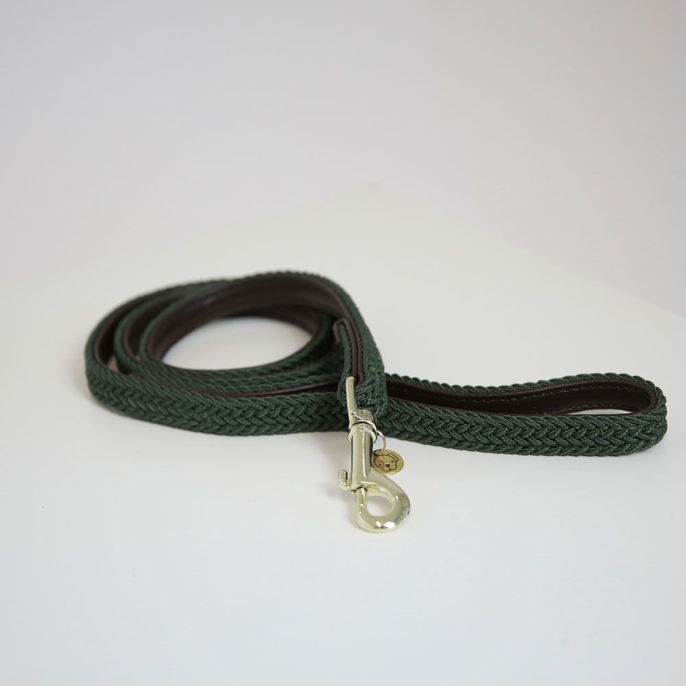 Kentucky - Plaited Nylon Dog Lead - 42519