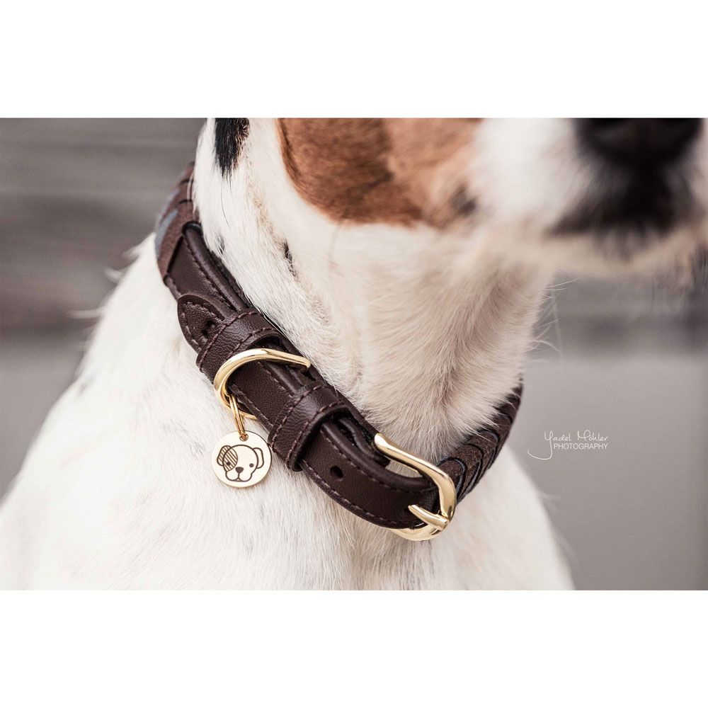 Kentucky - Dog Collar Triangle - 42523