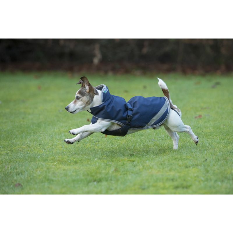 Bucas - Freedom Dog Coat 300g