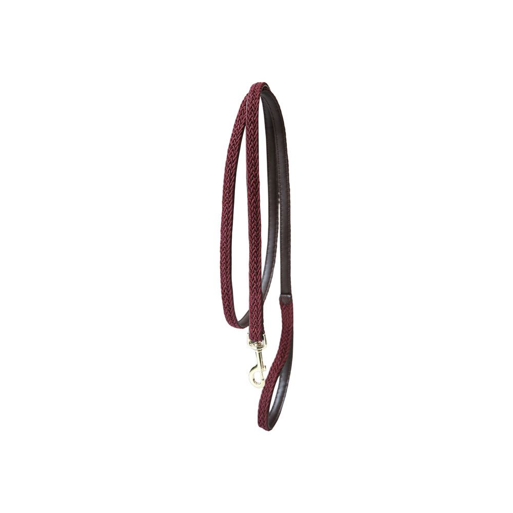 Kentucky - Plaited Nylon Dog Lead - 42519