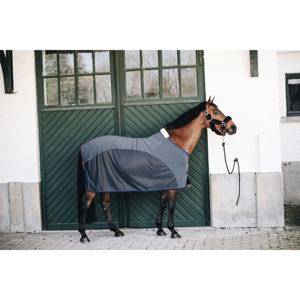 Kentucky Softshell Cooler Rug - 52120