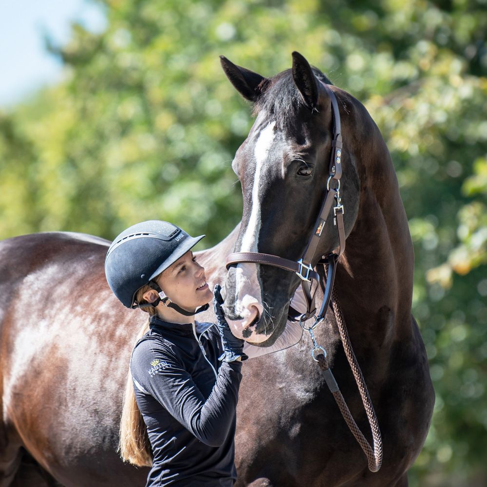 Equilibrium - Stellar Safety Headcollar