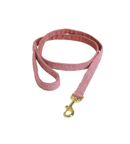 Kentucky - Dog Lead Wool - 42633