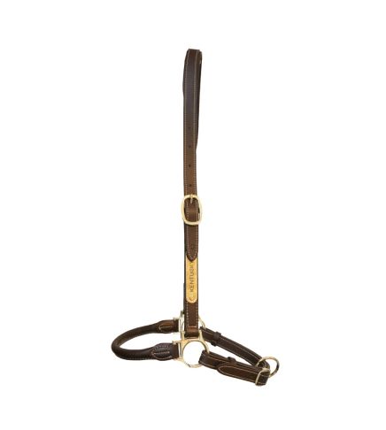 Kentucky - Grooming Halter  - 42512