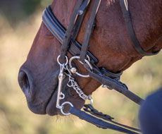 Sprenger Horse Mouthpiece